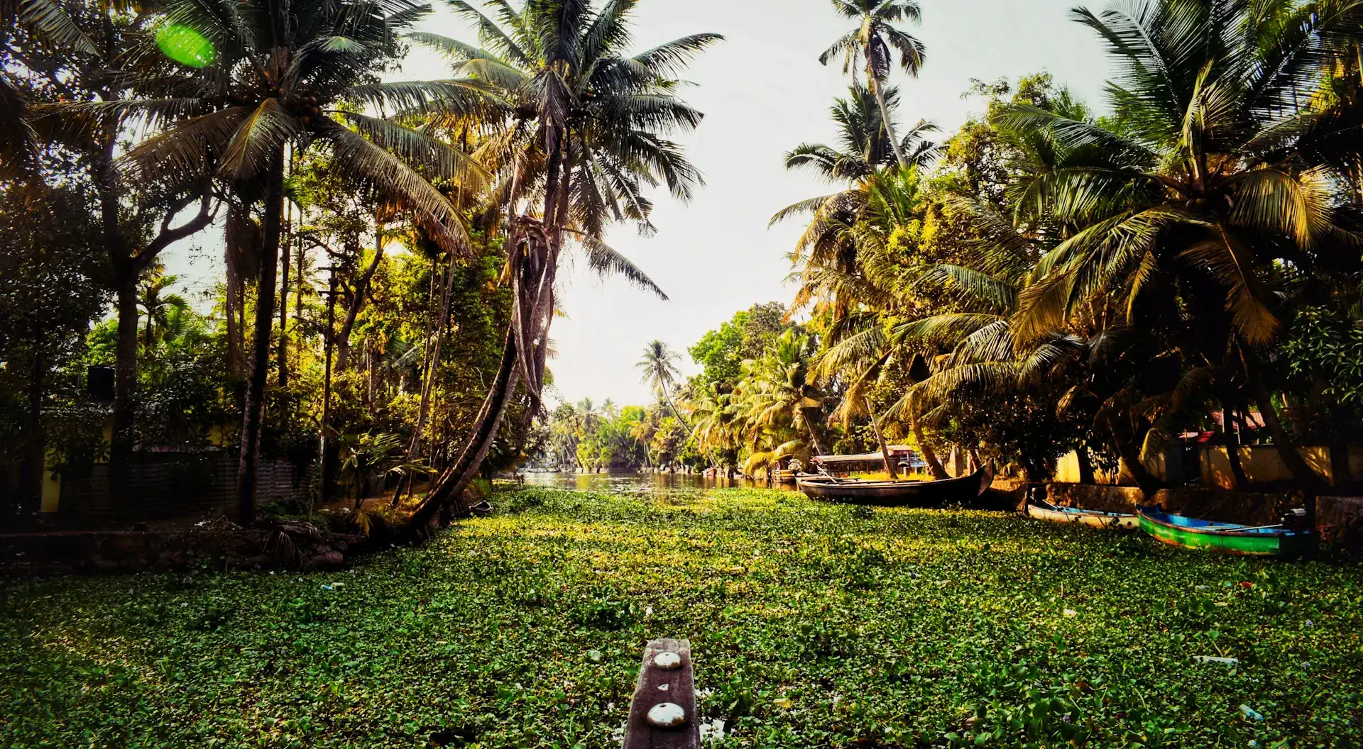 Ruhiger Platz unter Palmen in Kerala