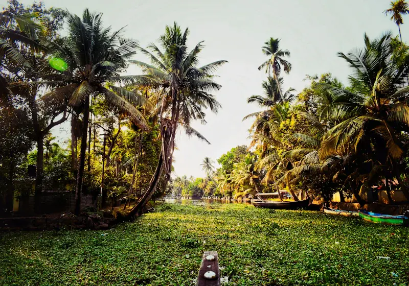 Ruhiger Platz unter Palmen in Kerala